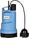 Produktbild HOMA Flachsaugerpumpe C240WF Sensoflat