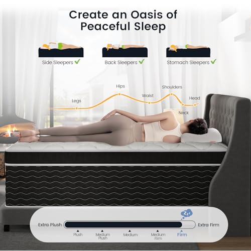 14 Inch Queen Mattress in a Box, 7-Zone Contouring Support Hybrid Mattress for Queen Size Bed, Upgrade Edge Support, Motion Isolation, Premier Comfort Cooler Sleep, CertiPUR-US Certified, Firm