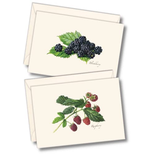 Image of Earth Sky + Water - Berry Assortment II Notecard Set - 8 Blank Cards with Envelopes (4 each of 2 styles)