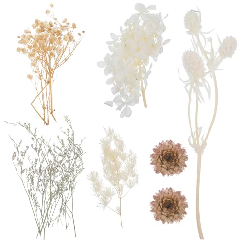 Set de flores secas prensadas naturales para manualidades miniatura 1