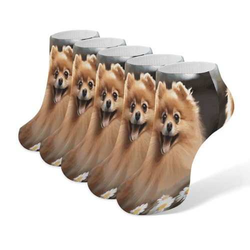 FZQVSWTX Knöchelsocken für Herren und Damen, bunt, niedrig geschnitten, Zwergspitz, bedruckt, 5 Paar für alle Jahreszeiten, Zwergspitz, Größe 32–40, Pommerischer Hund, 32-40