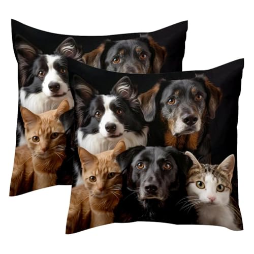 Housse de coussin velours 50x50 de qualité supérieure lot de 2