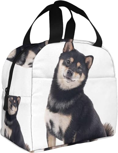 Č   `obO ۗ ٓ fM ۗobO e y h Rh~ |Pbgt g[gobN N[[obO 􂦂 ^тɕ֗