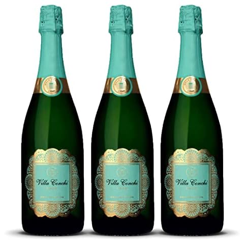 Villa Conchi Cava Brut Seleccion Penedès Cover
