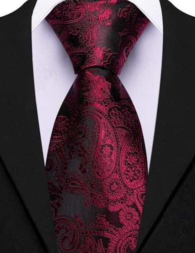 Image of Barry.Wang Paisley Tie for Men Silk Woven Necktie and Tie Clip Set Wedding Party Business Formal