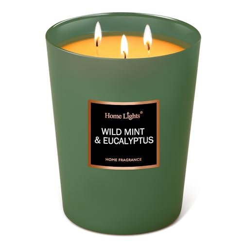HomeLights Large Jar Scented Candles &ndash; Wild Mint/Eucalyptus