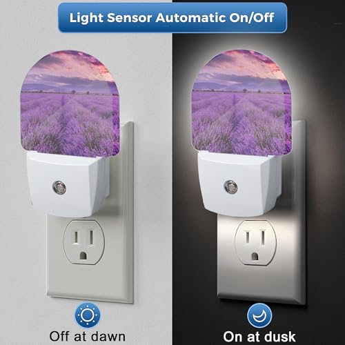 Image of Night Light,Lavender Field Sunset Night Lights Plug Into Wall Bedroom Bathroom Kitchen Hallway Stairs Hallway, Energy Efficient Decor Desk Lamp Gifts