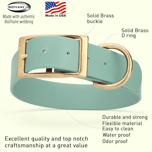 Image of Viper Biothane Heavy Duty Waterproof Dog Collar Strong Coated Nylon Webbing w /Solid Brass Hardware Odor-Proof Easy to Clean High Performance Fits Small Medium or Large Dogs, Sage Green