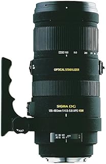 SIGMA 望遠ズームレンズ APO 120-400mm F4.5-5.6 DG OS HSM ニコン用 フルサイズ対応