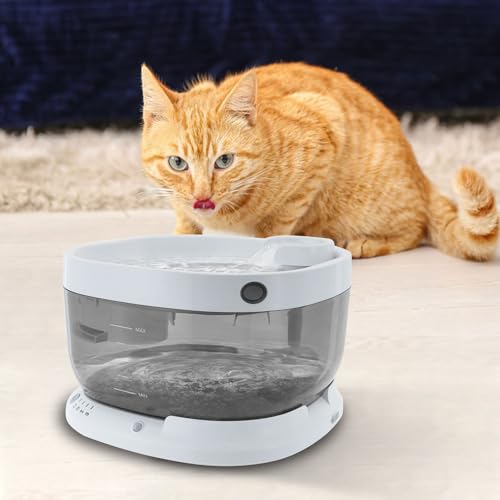 Fuente de agua recargable inalámbrica para gatos miniatura 4