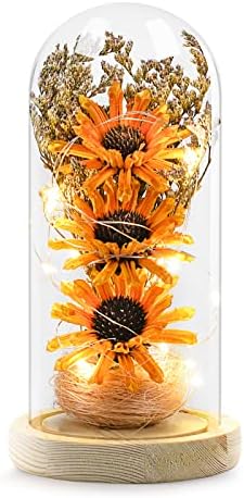 socathey Sunflower Gifts for Women, Mom, Grandma on Birthday, Anniversary, Christmas, Thanksgiving, Valentine's Day, Mother's Day, Artificial Sunflower in Glass Dome with LED Strip (Orange)