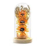 socathey Sunflower Gifts for Women, Mom, Grandma on Birthday, Anniversary, Christmas, Thanksgiving,