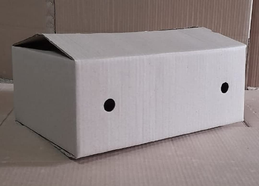 Garudan MACH ® Bird & Small pets Carrier/Transport/Breeding Carton Box_Nest for Chicks, Pigeon, Parrot, Love Birds, Finches and Other Garden Birds 36x26x11.5 CM Size with 4 Holes (Pack of 10) (B0B15LVW6H) Amazon Price History, Amazon Price Tracker