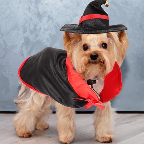 Disfraz Halloween para Perros con Alas de Murciélago y Banda miniatura 4