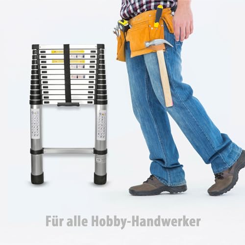 Eaxus® Teleskopleiter 3,8m - DIN EN 131 Aluminium Mehrzweckleiter Ausziehbar mit 13 Stufen, Silber