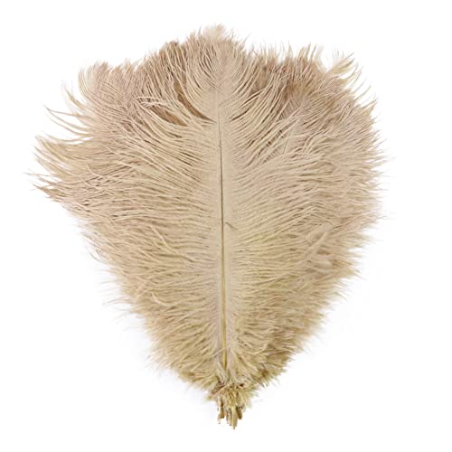 10 plumas naturales de avestruz – 25 – 30 cm – Plumas grandes – Suave y esponjoso Ostrich Feathers – Plumas coloridas – DIY para manualidades, disfraces, sombreros, decoración de interiores