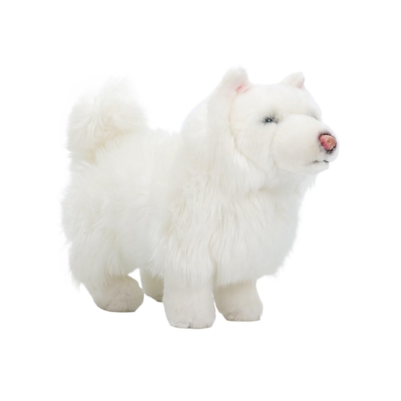 Jouet en peluche Samoyède de qualité supérieure : chiot debout d'un réalisme d'exception