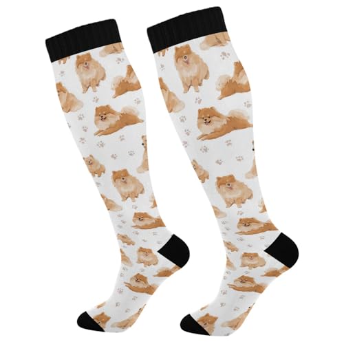 Image of Wusikd Cats Compression Socks for Women and Men Circulation Cute Long Socks for Athletic Running 1