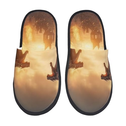 Castle Cool Fire Dragon Print Women Slippers Home Furry Shoes Keep Men Couples Shoes Warm For Women-