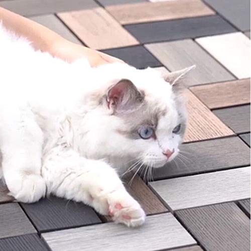 Waterproof Non-Slip WPC Patio Deck Tiles (4-Pack) - UV Resistant Outdoor Flooring for Garden, Pool, Balcony - All-Weather Durable Composite Decking Tiles