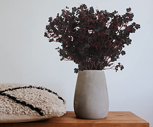 Hananona 10 Pcs Babys Breath Artificial Flowers Real Touch Fabric Cloth Fake Black Flowers Silk Plants For Home Decor Indoor Floral Arrangement Table Centerpieces Festival Party Decor (Black, 10) #TOP3