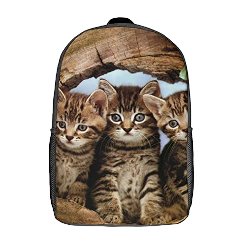 Mochila escolar para niños estudiantes ideal para el colegio y actividades informales