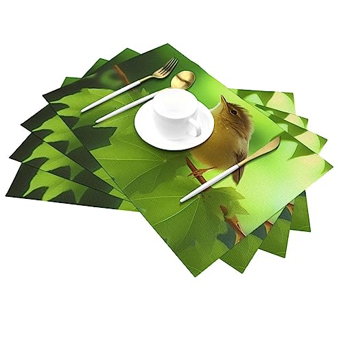 Sets de table en PVC pour salle à manger et terrasse extérieure d'été
