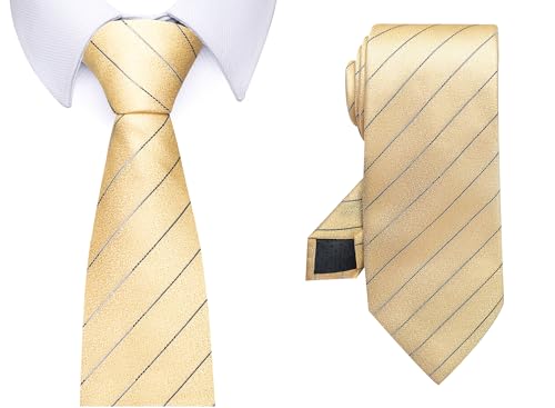 Image of Passabin Tie For Men Necktie Woven Jacquard Neck Ties Set 6 PCS