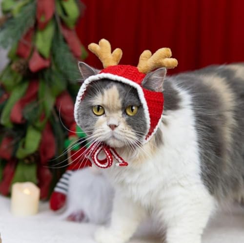 Cuernos navideños para perros y gatos, ajustables y antideslizantes miniatura 6