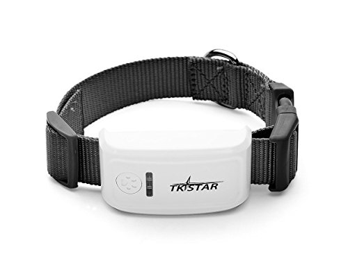 Tkstar Mini GPS/GSM/GPRS Tracker pour chien/animal domestique de grande qualité avec logiciel gratuit tk909 Cover