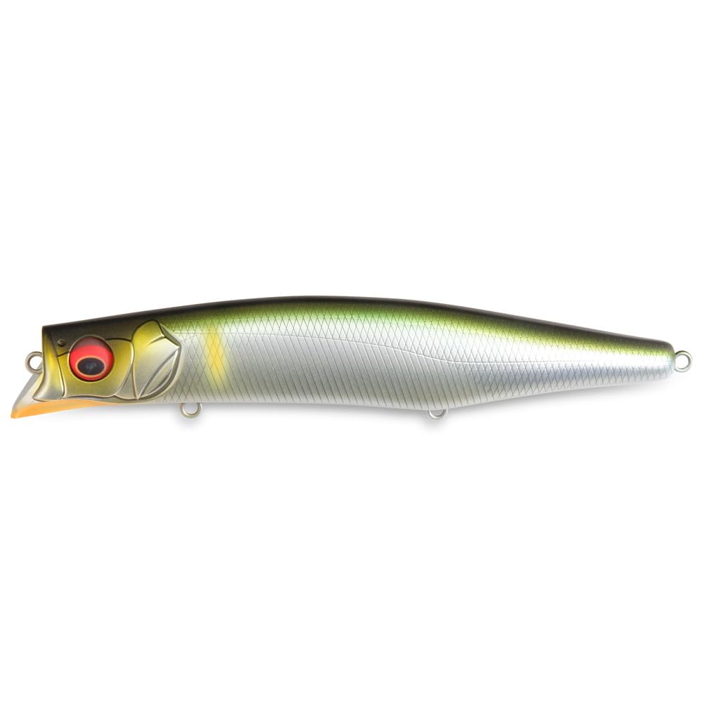 Megabass KAGELOU MD 156F : Amazon.com.au: Sports, Fitness & Outdoors