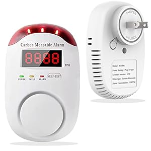 Colorwell Carbon Monoxide Detectors...