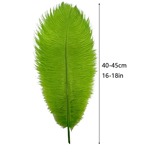 10Pcs Large Lime Green Ostrich Feathers 16-18 Inch Fluffy Feather For Crafts Home Party Decoration Wedding Centerpieces Clothes Vase Decor #TOP1