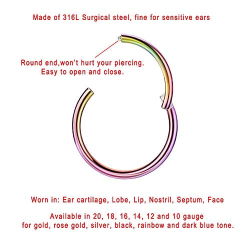 Image of FANSING Men Women 316L Surgical Steel Hinged Nose Rings Hoop for Nostril Septum Cartilage Helix Daith Tragus Rook Conch Lip Ear Lobe Piercings