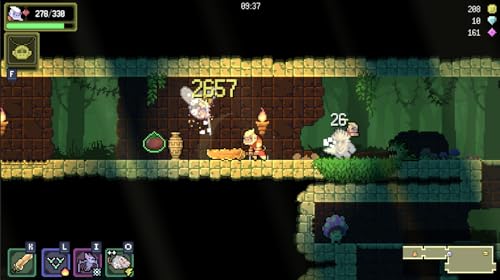 Dunjungle Premium Edition Nintendo - vue 5