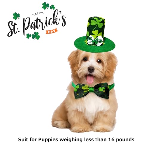 Disfraz de conejo para perro pequeño St. Patrick miniatura 5