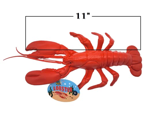 Image of Realistic Red Lobster (12 inch) Plastic Prop Toy Party Decoration Fish Net Sea Ocean (6)