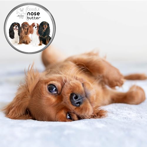 Image of The Blissful Dog Cavalier King Charles Spaniel Unscented Nose Butter - Dog Nose Butter, 4 Ounce