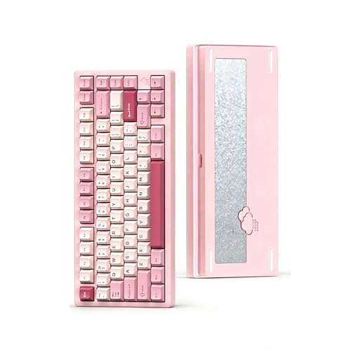 WOBKEY Rainy 75 �Q�[�~���O�L�[�{�[�h ���J�j�J���L�[�{�[�h �A���~�� 75���z�� Bluetooth/2.4G/�L�� �z�b�g�X���b�v�Ή� �K�X�P�b�g�\�� �J���̂悤�ȑŌ��� ���C�����X�ڑ� �J�X�^���L�[�{�[�h RGB�o�b�N���C�g(�s���N)