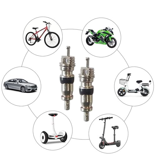 FuzlPnag 10 PCS Ventileinsätzen mit 2 Ventileinsatzentferner, Ventilkernwerkzeug? Ventilkern-Entferner ?für Auto Fahrrad LKW Ersatzreifen