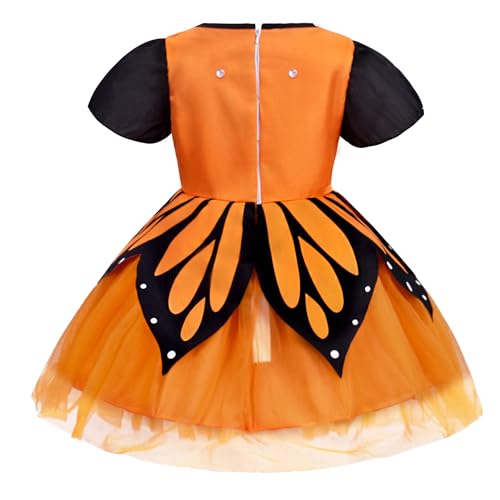 Disfraz mariposa para niñas 3-11 años con accesorios miniatura 4