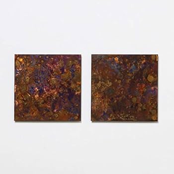 Amazon｜コースター 2枚組 斑紋孔雀色 モメンタムファクトリー