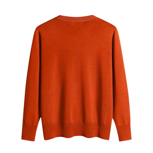 OIOLOYJM Fall Cashmere Sweaters for Women 2025 V Neck Long Sleeve Tops Knitted Pullovers Lightweight Merino Wool Sweater