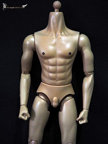 Amazon | 男性 ドール素体 Artcreator_BM B001 DOLLSFIGURE 1/6 Narrow