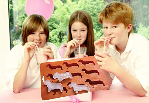 Zhaocaigui Eiswürfelform, 9 Stück Dackel Eiswürfel, Orange, Silikon, BPA-frei