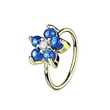 Tapsi´s Coolbodyart