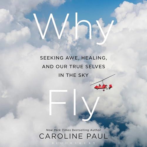 Page de couverture de Why Fly
