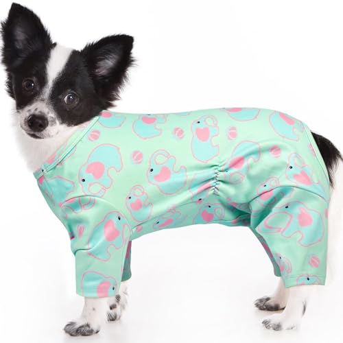 DENTRUN  p[X ^p pW} H~ g  ybg _炩ɗD K ʋC Lk  a p[eB[(u[, S)