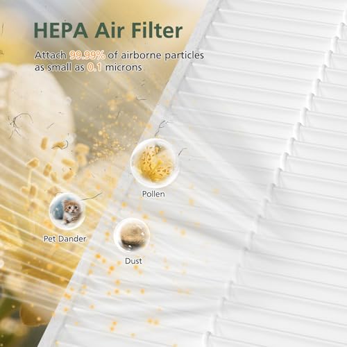 Image of 5510 5520 5530 Replacement Filter Q Compatible with Winix 5510, 5520, 5530 PlasmaWave Air Purifi-ers, HEPA Air Filter + Activated Carbon Filter Combo for Dust Pollen Pet Smoke, 2+2 Pack