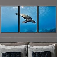 3 Piece Framed Canvas Wall Art Turtle Under The Surface Canvas Prints Home Artwork Decoration for Living Room,Bedroom - 16